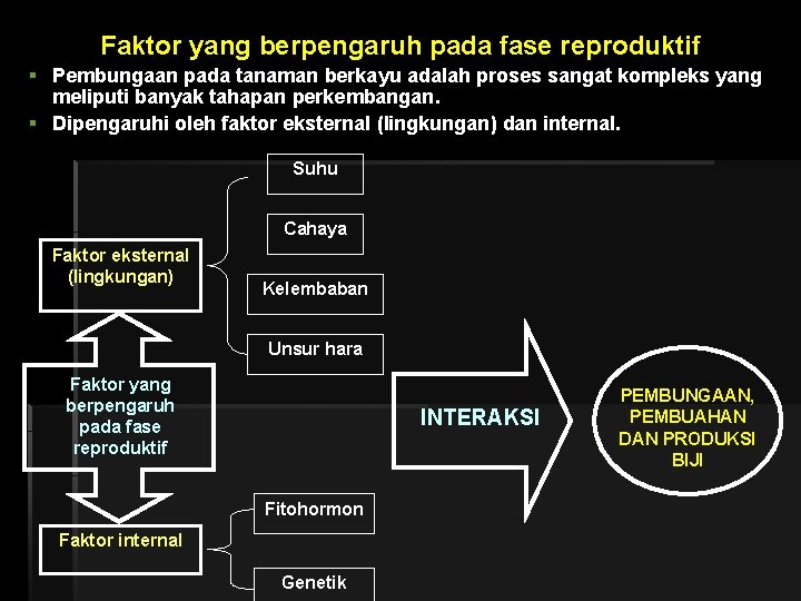 Faktor yang berpengaruh pada fase reproduktif § Pembungaan pada tanaman berkayu adalah proses sangat