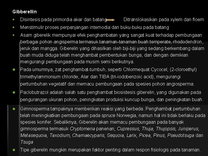 Gibberellin § Disintesis pada primordia akar dan batang § Menstimulir proses perpanjangan internodia dan
