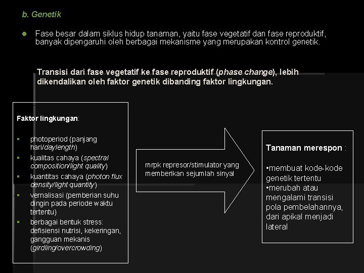 b. Genetik l Fase besar dalam siklus hidup tanaman, yaitu fase vegetatif dan fase
