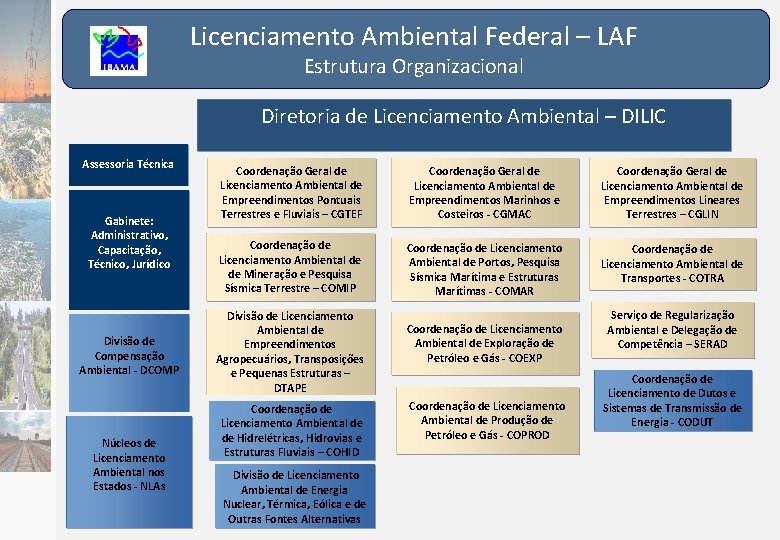 Licenciamento Ambiental Federal – LAF Estrutura Organizacional Diretoria de Licenciamento Ambiental – DILIC Assessoria