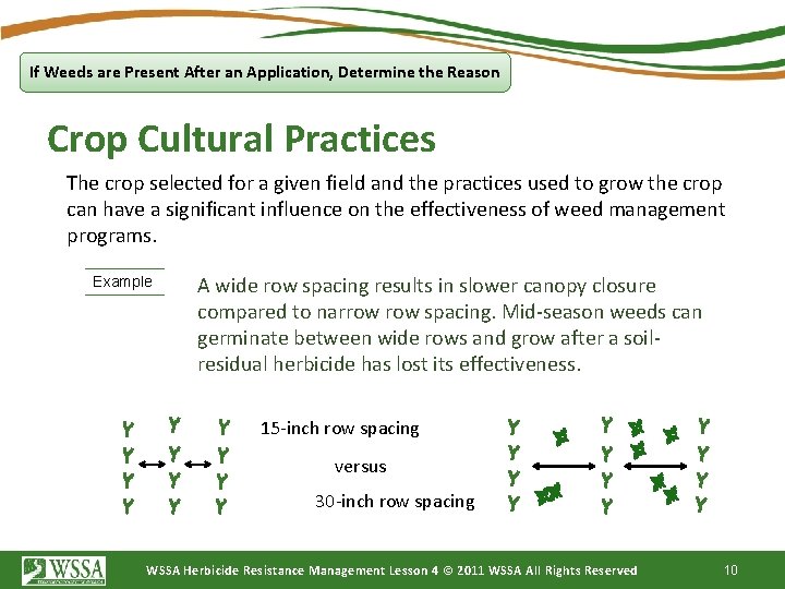 If Weeds are Present After an Application, Determine the Reason Crop Cultural Practices The