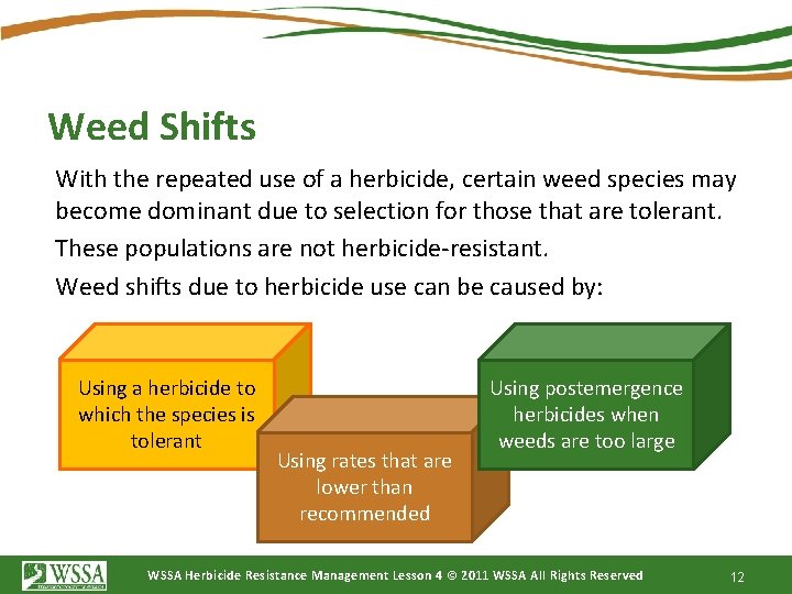 Weed Shifts With the repeated use of a herbicide, certain weed species may become