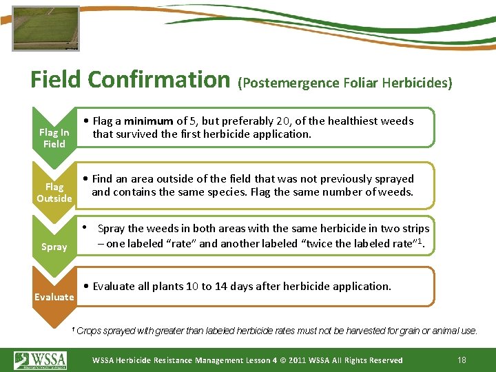 Field Confirmation (Postemergence Foliar Herbicides) • Flag a minimum of 5, but preferably 20,