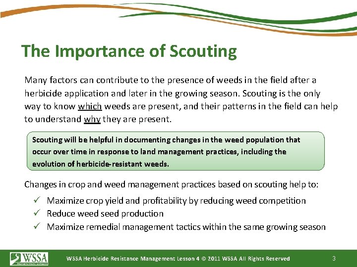 The Importance of Scouting Many factors can contribute to the presence of weeds in