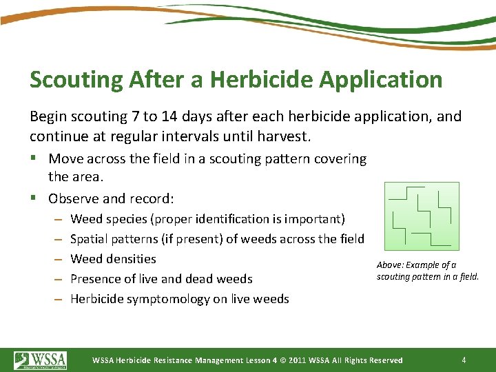 Scouting After a Herbicide Application Begin scouting 7 to 14 days after each herbicide