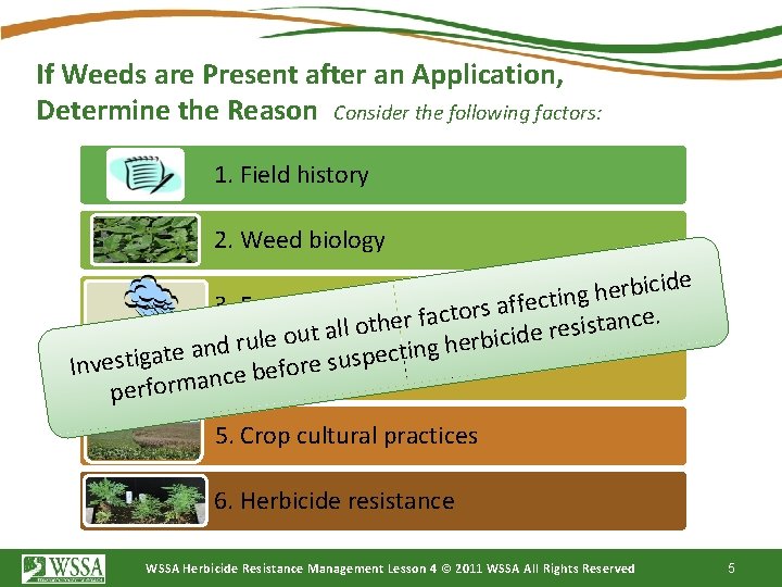 If Weeds are Present after an Application, Determine the Reason Consider the following factors: