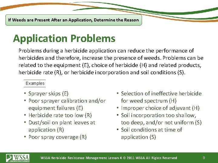 If Weeds are Present After an Application, Determine the Reason Application Problems during a