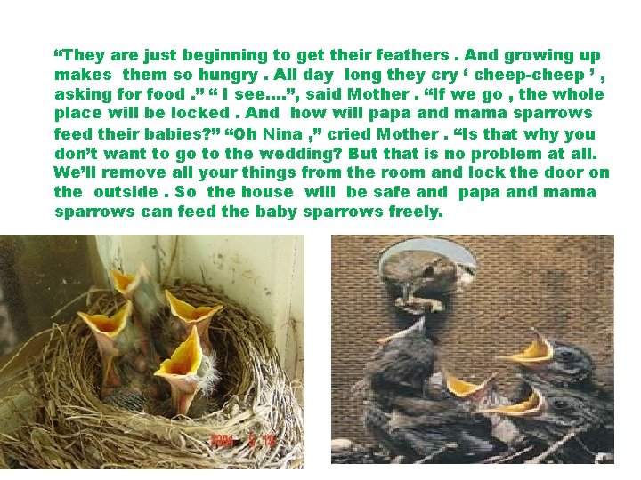 “They are just beginning to get their feathers. And growing up makes them so