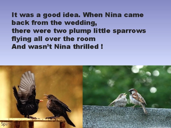 It was a good idea. When Nina came back from the wedding, there were