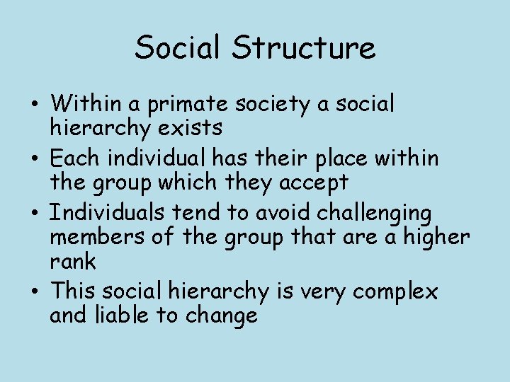 Social Structure • Within a primate society a social hierarchy exists • Each individual