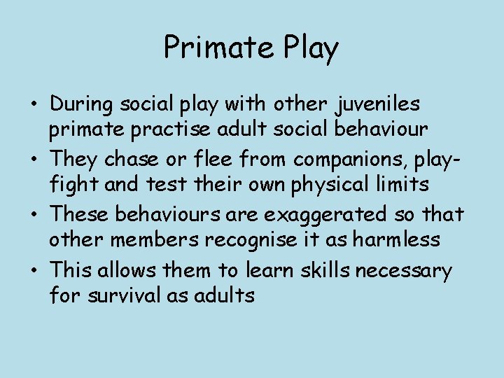 Primate Play • During social play with other juveniles primate practise adult social behaviour
