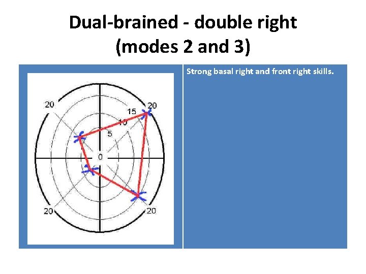 Dual-brained - double right (modes 2 and 3) Strong basal right and front right