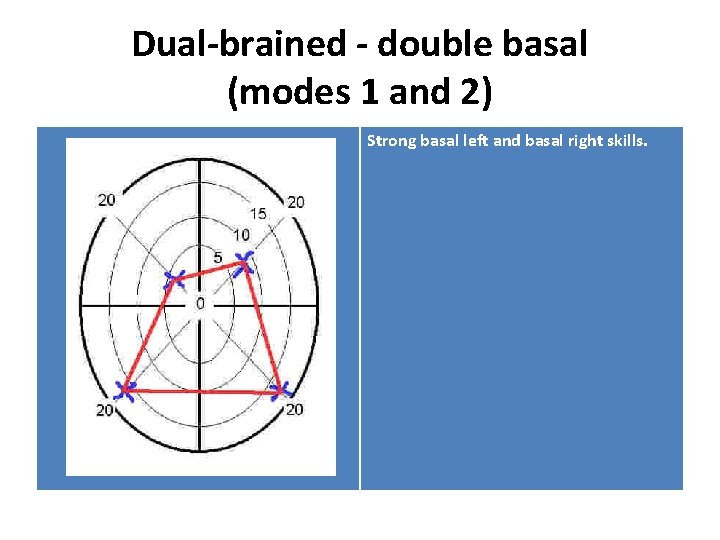 Dual-brained - double basal (modes 1 and 2) Strong basal left and basal right
