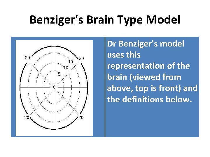 Benziger's Brain Type Model Dr Benziger's model uses this representation of the brain (viewed