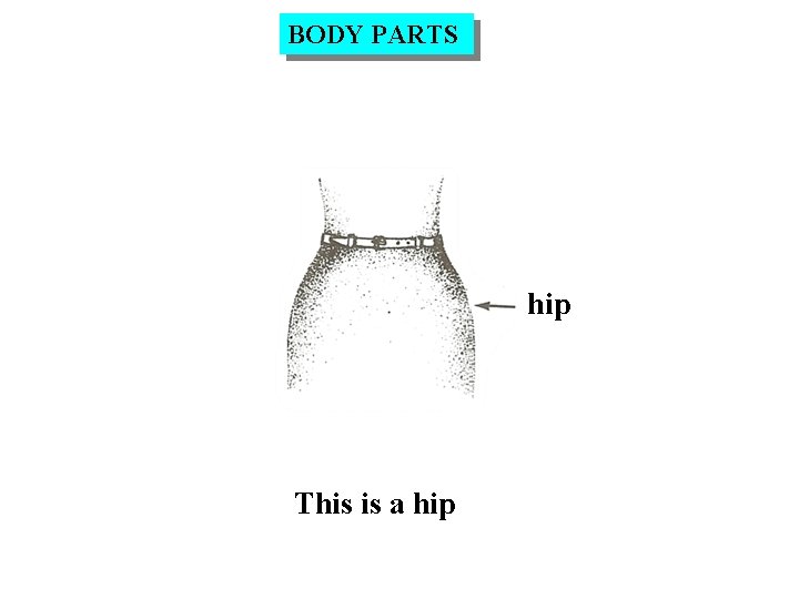 BODY PARTS hip This is a hip 