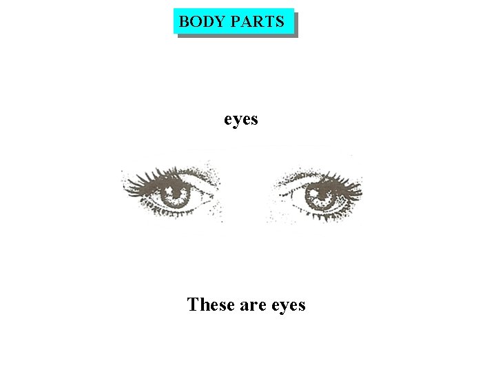 BODY PARTS eyes These are eyes 