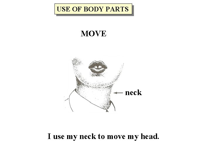 USE OF BODY PARTS MOVE neck I use my neck to move my head.