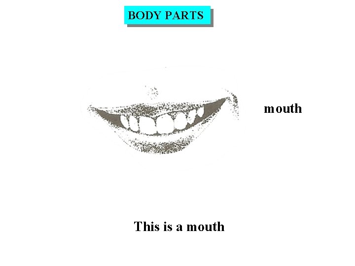 BODY PARTS mouth This is a mouth 