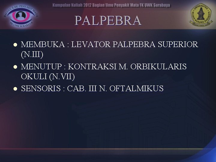 PALPEBRA l l l MEMBUKA : LEVATOR PALPEBRA SUPERIOR (N. III) MENUTUP : KONTRAKSI