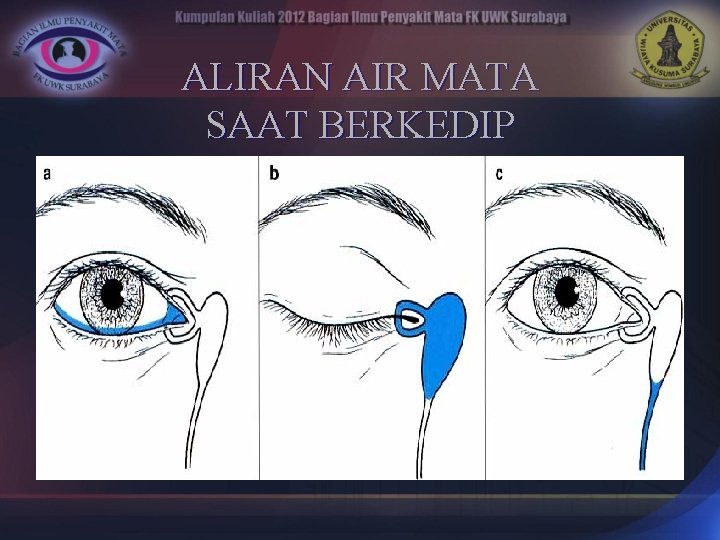 ALIRAN AIR MATA SAAT BERKEDIP 