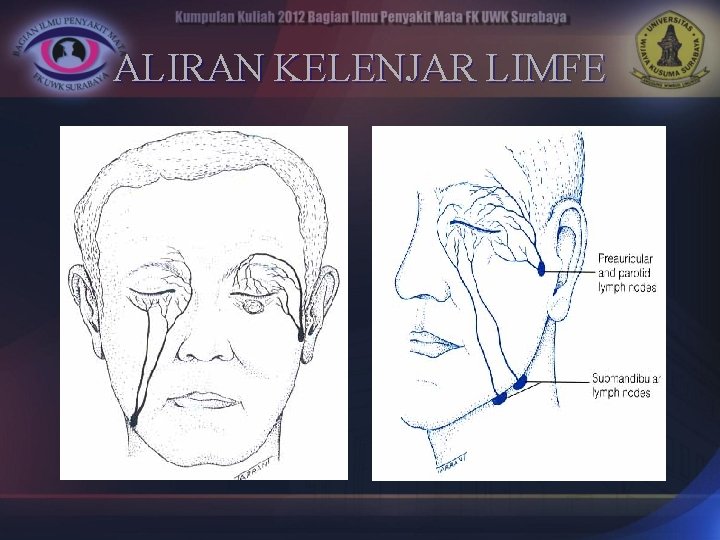 ALIRAN KELENJAR LIMFE 