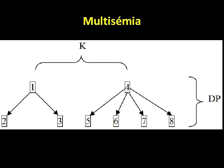 Multisémia 