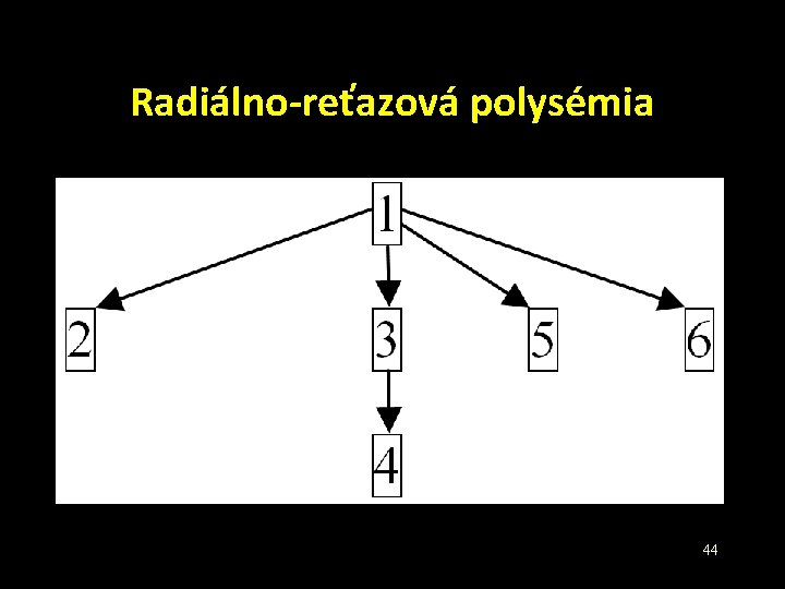 Radiálno-reťazová polysémia 44 