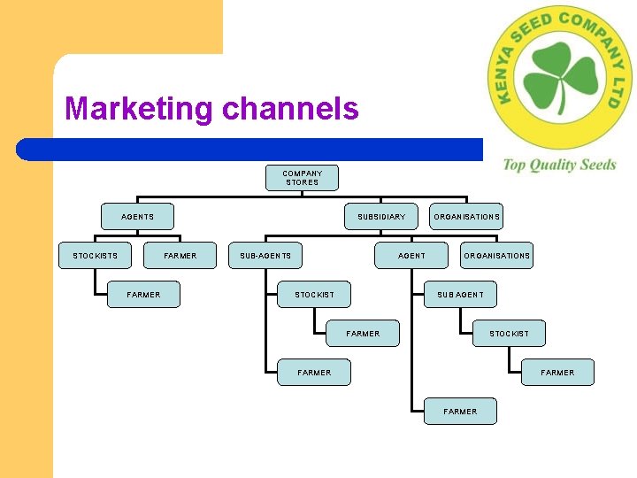 Marketing channels COMPANY STORES AGENTS STOCKISTS SUBSIDIARY FARMER SUB-AGENTS AGENT STOCKIST ORGANISATIONS SUB AGENT