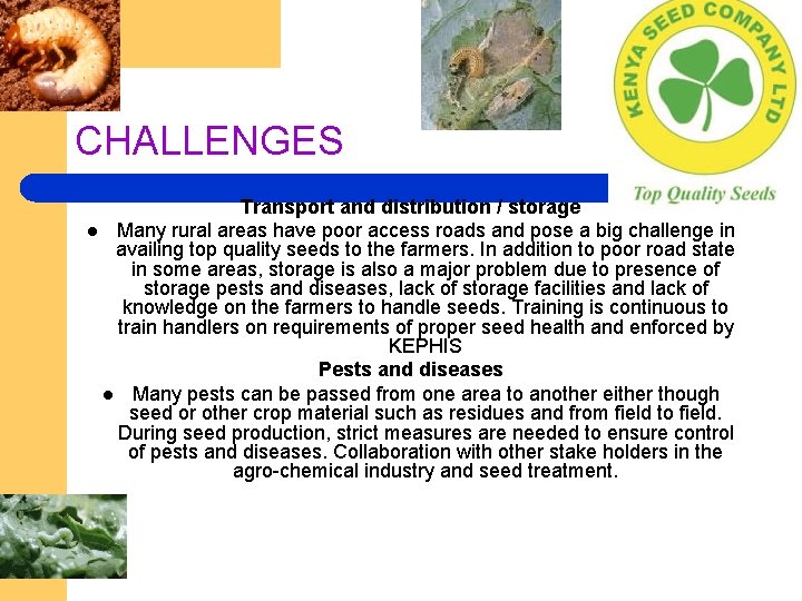 CHALLENGES Transport and distribution / storage l Many rural areas have poor access roads