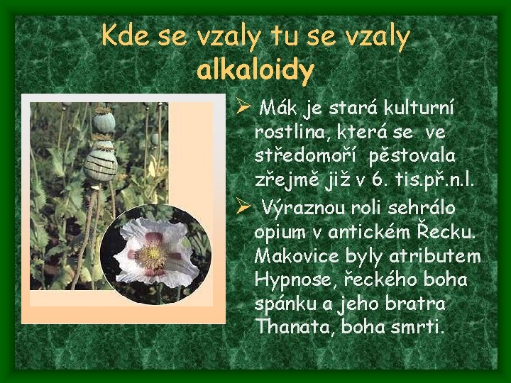 Kde se vzaly tu se vzaly alkaloidy Ø Mák je stará kulturní rostlina, která