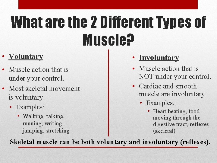 What are the 2 Different Types of Muscle? • Voluntary: • Involuntary • Muscle