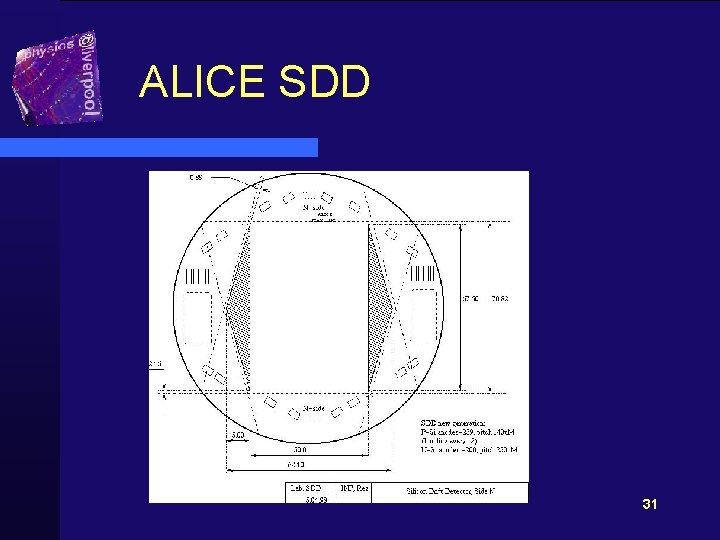 ALICE SDD 31 
