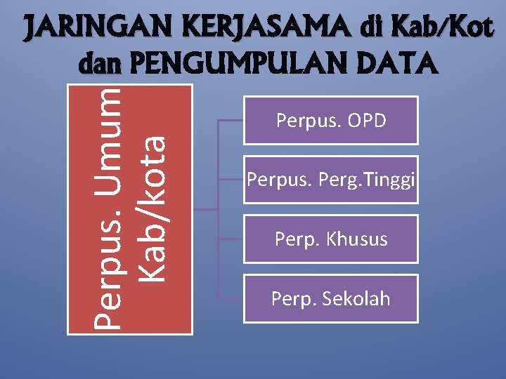 Perpus. Umum Kab/kota JARINGAN KERJASAMA di Kab/Kot dan PENGUMPULAN DATA Perpus. OPD Perpus. Perg.