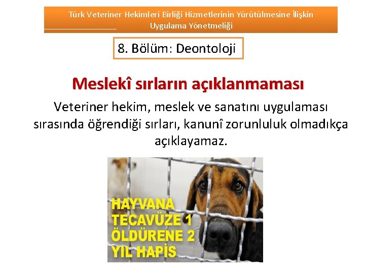 Türk Veteriner Hekimleri Birliği Hizmetlerinin Yürütülmesine İlişkin Uygulama Yönetmeliği 8. Bölüm: Deontoloji Meslekî sırların