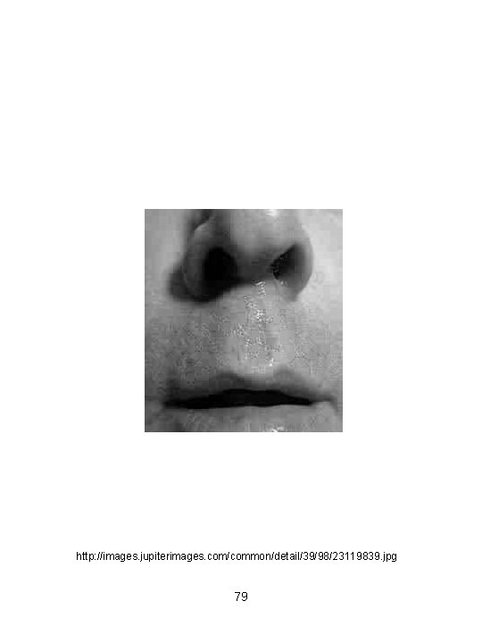 http: //images. jupiterimages. com/common/detail/39/98/23119839. jpg 79 
