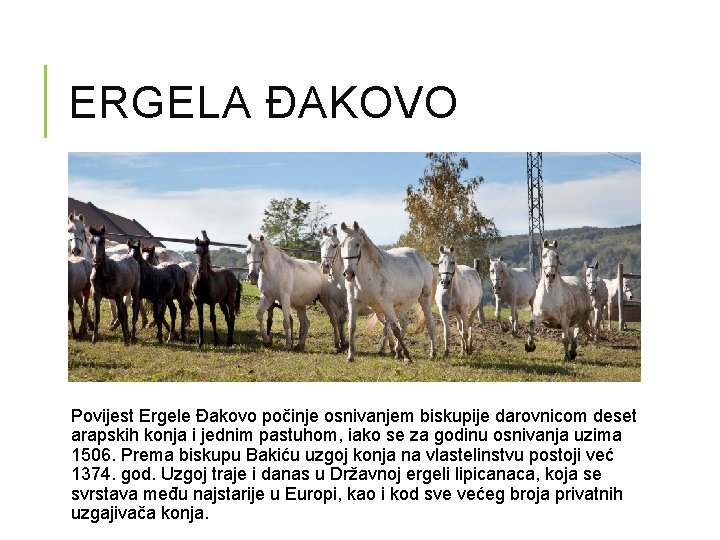 ERGELA ĐAKOVO Povijest Ergele Đakovo počinje osnivanjem biskupije darovnicom deset arapskih konja i jednim
