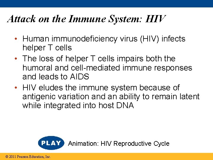 Attack on the Immune System: HIV • Human immunodeficiency virus (HIV) infects helper T