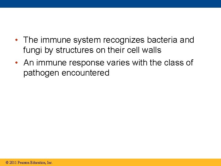  • The immune system recognizes bacteria and fungi by structures on their cell