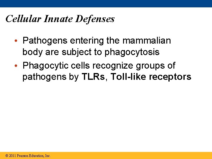 Cellular Innate Defenses • Pathogens entering the mammalian body are subject to phagocytosis •