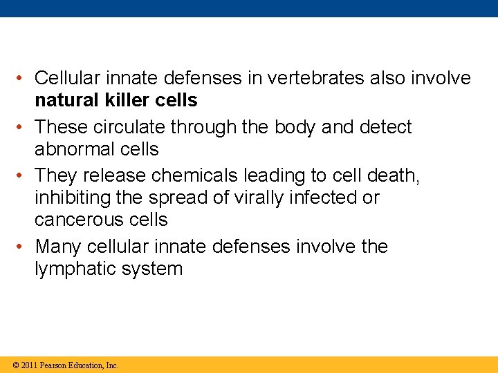  • Cellular innate defenses in vertebrates also involve natural killer cells • These