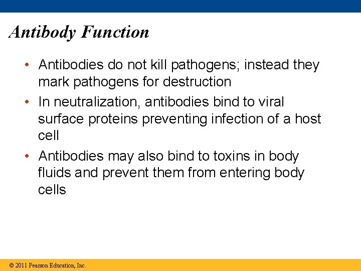 Antibody Function • Antibodies do not kill pathogens; instead they mark pathogens for destruction