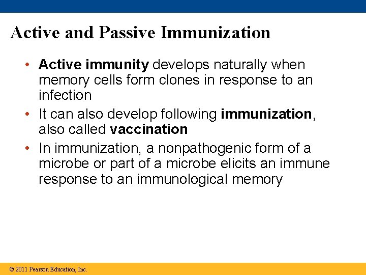 Active and Passive Immunization • Active immunity develops naturally when memory cells form clones