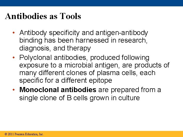 Antibodies as Tools • Antibody specificity and antigen-antibody binding has been harnessed in research,