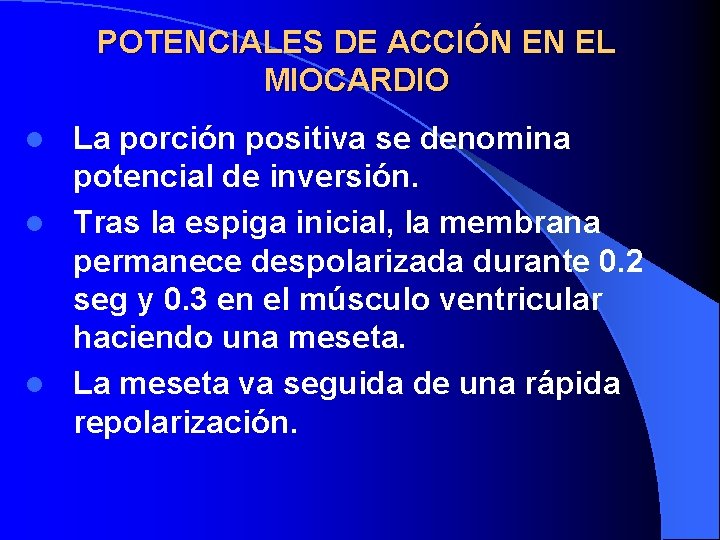 POTENCIALES DE ACCIÓN EN EL MIOCARDIO La porción positiva se denomina potencial de inversión.