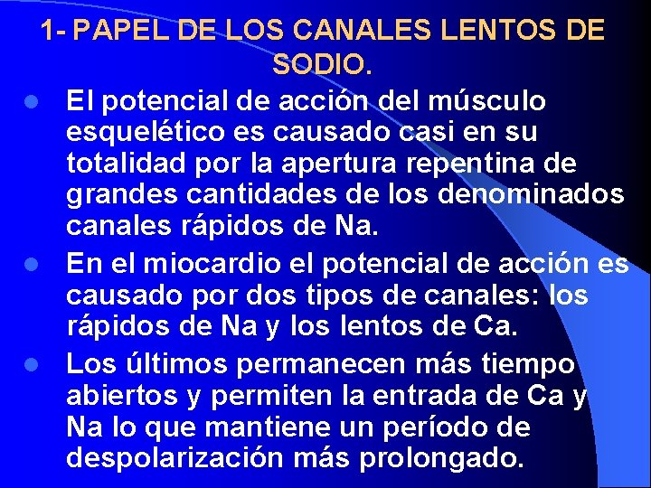 1 - PAPEL DE LOS CANALES LENTOS DE SODIO. l El potencial de acción