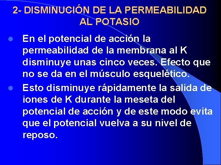2 - DISMINUCIÓN DE LA PERMEABILIDAD AL POTASIO En el potencial de acción la