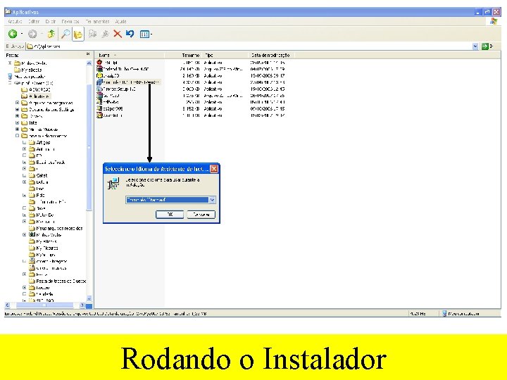 Rodando o Instalador 