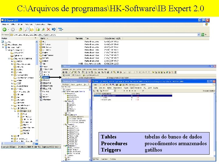  C: Arquivos de programasHK-SoftwareIB Expert 2. 0 Tables Procedures Triggers tabelas do banco