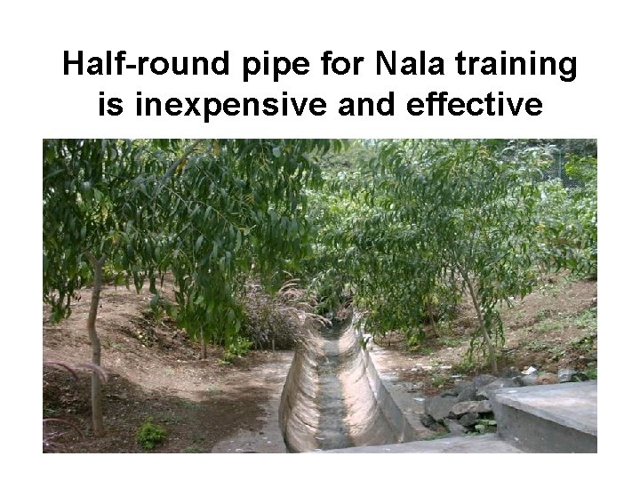 Half-round pipe for Nala training is inexpensive and effective 