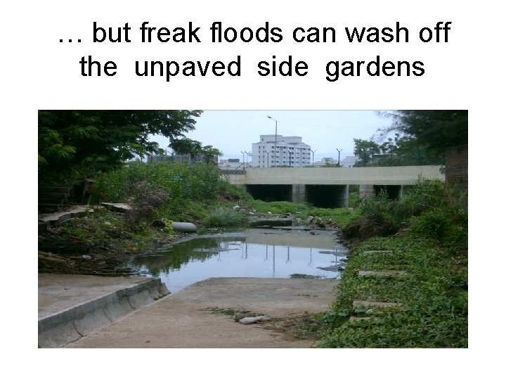 … but freak floods can wash off the unpaved side gardens 